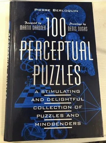 Cover of 100 Perceptual Puzzles