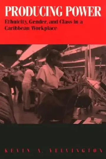Cover of Producing Power