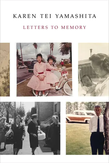 Cover of Letters to Memory