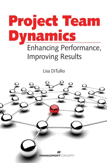 Cover of Project Team Dynamics