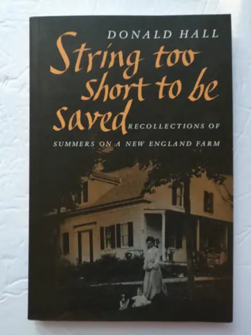 Cover of String Too Short to Be Saved