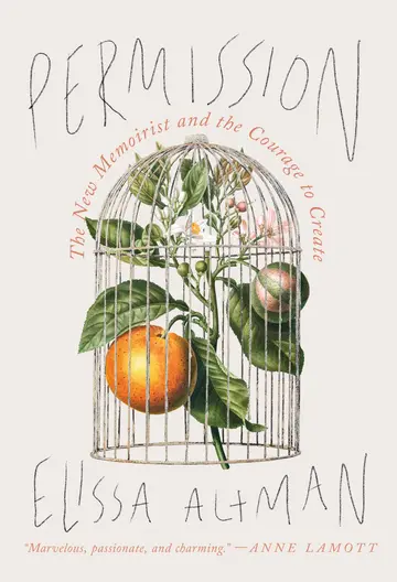 Cover of Permission