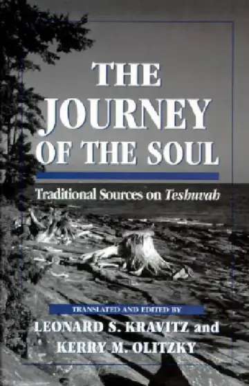 Cover of Journey of the Soul