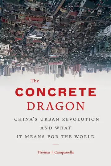 Cover of The Concrete Dragon