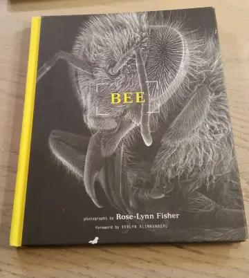 Cover of Bee