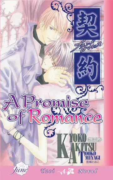 Cover of A Promise of Romance