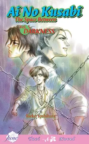 Cover of (Yaoi Novel) (v. 5)