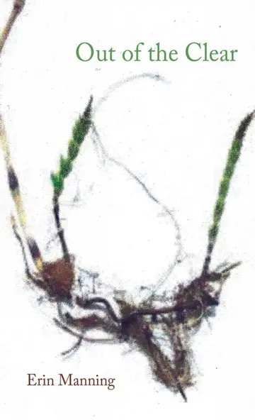 Cover of Out of the Clear