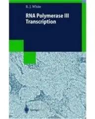 Cover of Rna Polymerase III Transcription