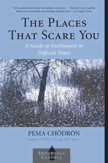 Cover of The Places That Scare You