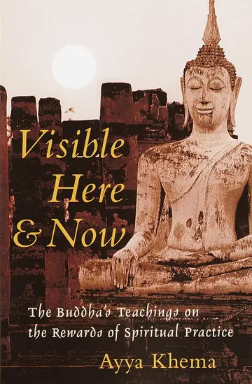 Cover of Visible Here and Now