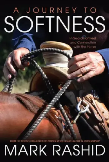 Cover of Journey to Softness