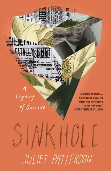 Cover of Sinkhole