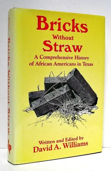 Cover of Bricks Without Straw