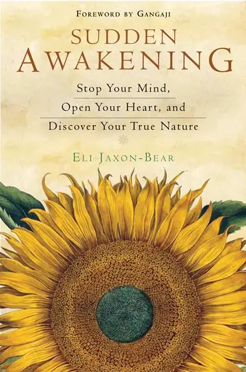 Cover of Sudden Awakening