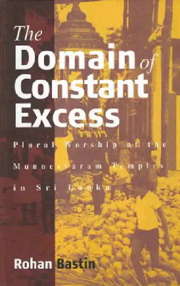 Cover of The Domain of Constant Excess