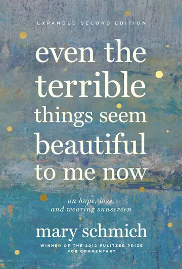Cover of Even the Terrible Things Seem Beautiful to Me Now