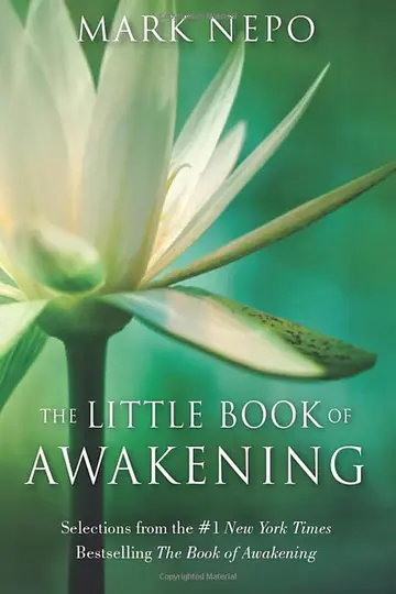 Cover of The Little Book of Awakening