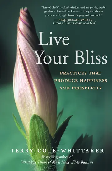 Cover of Live Your Bliss