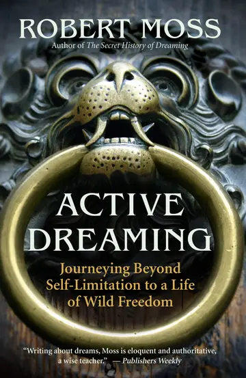 Cover of Active Dreaming