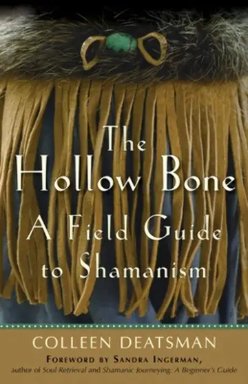 Cover of The Hollow Bone