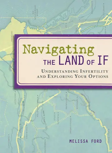 Cover of Navigating the Land of If