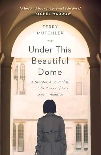 Cover of Under This Beautiful Dome