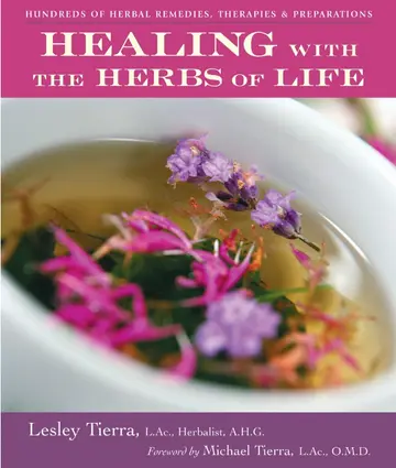 Cover of Healing