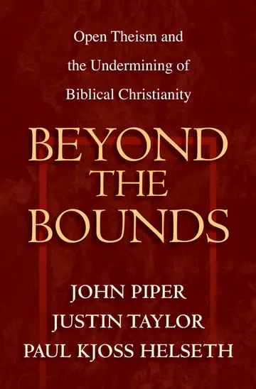 Cover of Beyond the Bounds