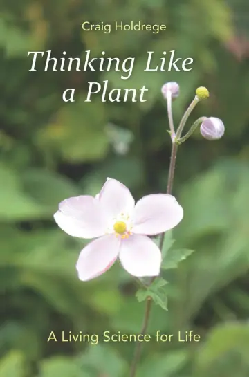 Cover of Thinking Like a Plant