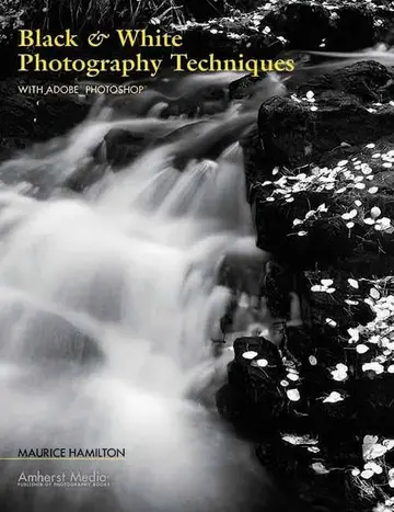 Cover of Black & White Photography Techniques