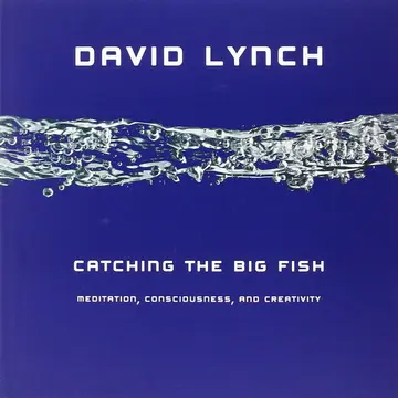 Cover of Catching the Big Fish