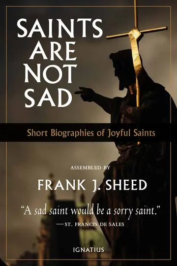 Cover of Saints are Not Sad