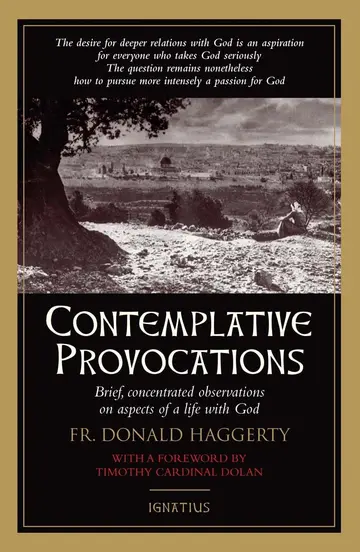Cover of Contemplative Provocations