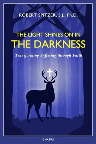 Cover of Light Shines on in the Darkness