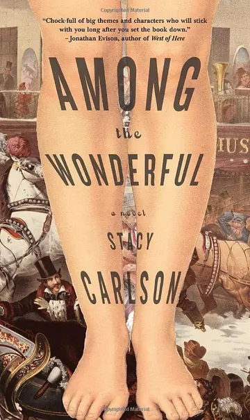 Cover of Among the Wonderful
