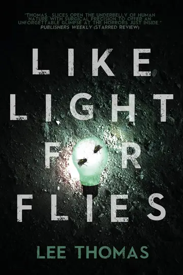 Cover of Like Light for Flies