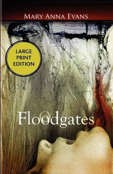 Cover of Floodgates