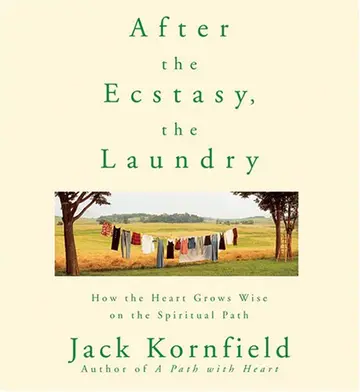Cover of After the Ecstasy, the Laundry