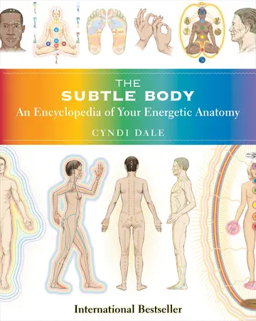 Cover of The Subtle Body