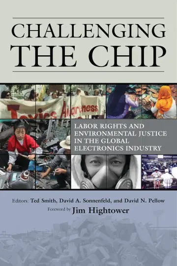 Cover of Challenging the Chip
