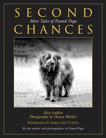 Cover of Second Chances