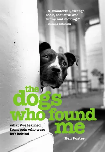 Cover of The Dogs Who Found Me