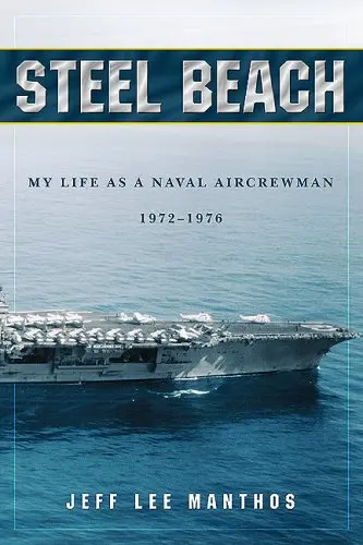 Cover of Steel Beach