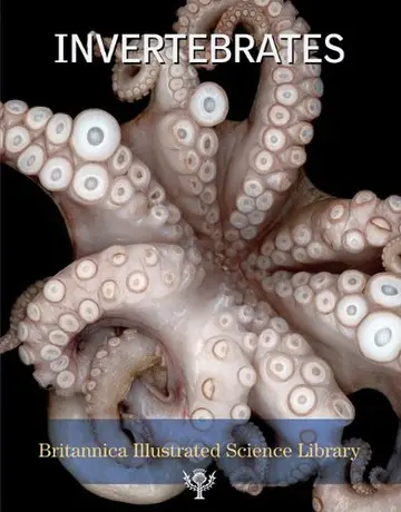 Cover of Invertebrates