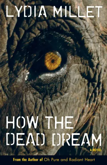 Cover of How the Dead Dream