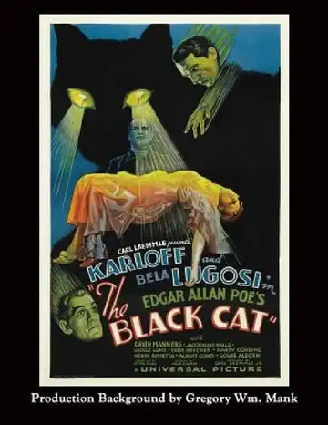 Cover of The Black Cat