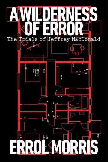 Cover of A Wilderness of Error