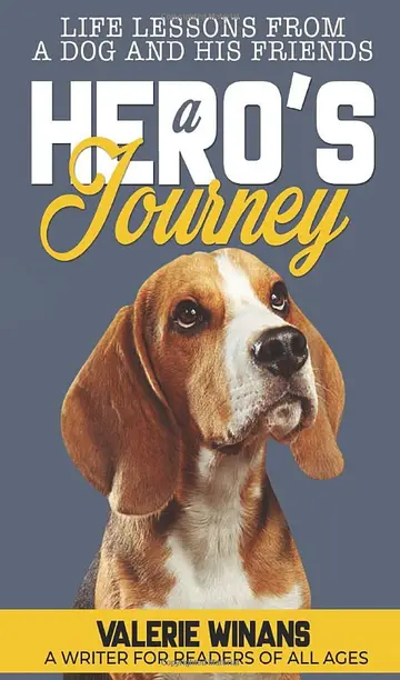 Cover of A Hero's Journey