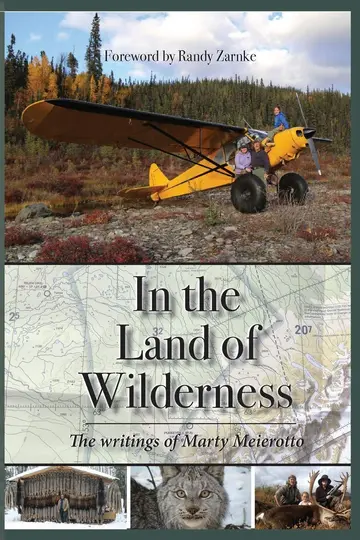 Cover of In the Land of Wilderness